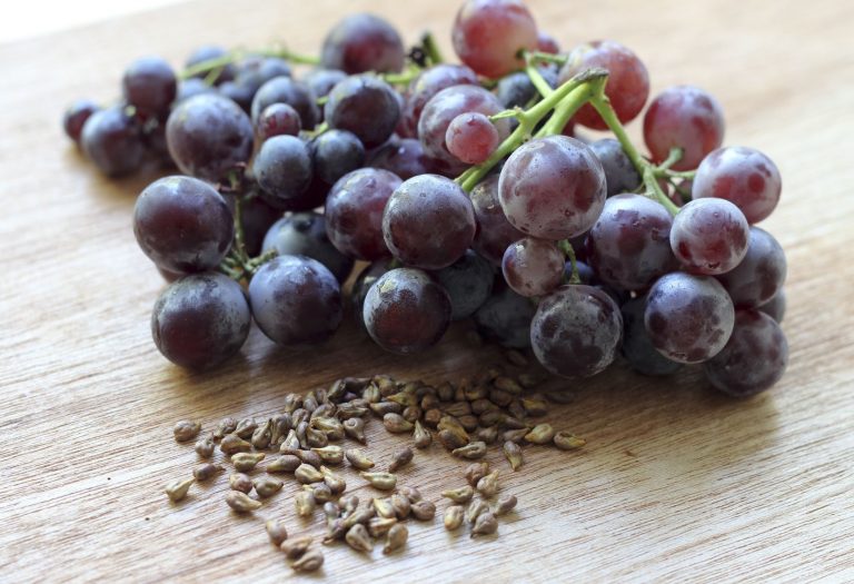 15400198 - grapes and grape seeds on the table