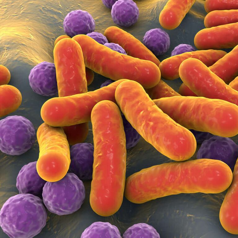Záhady střevního mikrobiomu: Cesta k fungující imunitě