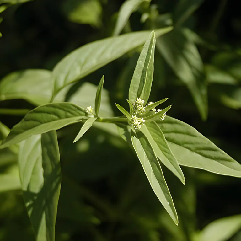 epivyziva-cz-suma-13052024