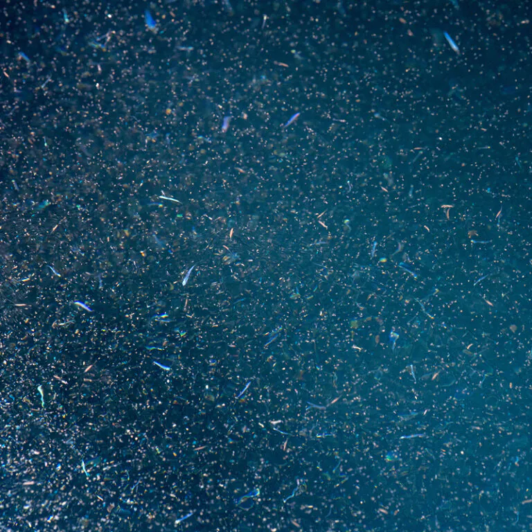 epivyziva-cz-krill-18032026