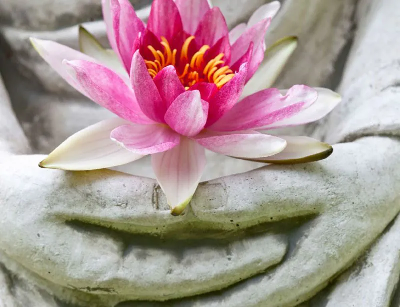 epigenetika-jako-soucast-duchovni-cesty-23-10-2018