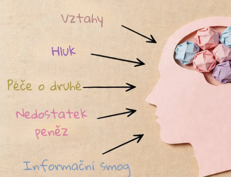 epivyziva-cz-hluk-klimatizace-i-toxicke-vztahy-10-malickosti-ktere-nam-zbytecne-zkracuji-zivot-16042026