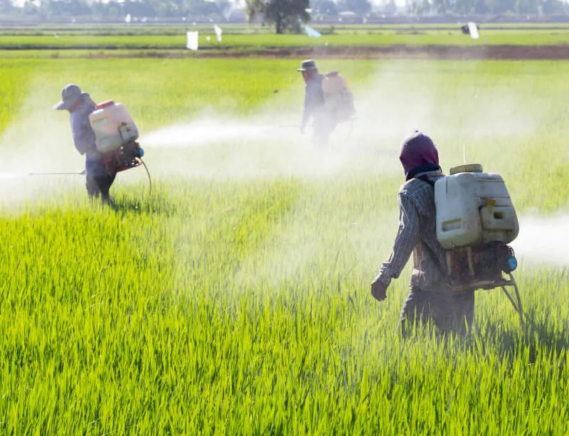 skryte-jedy-kolem-nas-jak-ovlivnuji-nase-geny-27072020